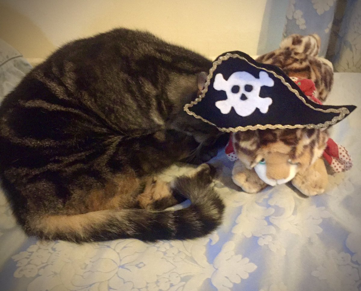 It’s #nationalrumday and I bet a few pirates will be off their heads today. I seem to have lost mine! #CatsOfTwitter 😹🏴‍☠️🍹