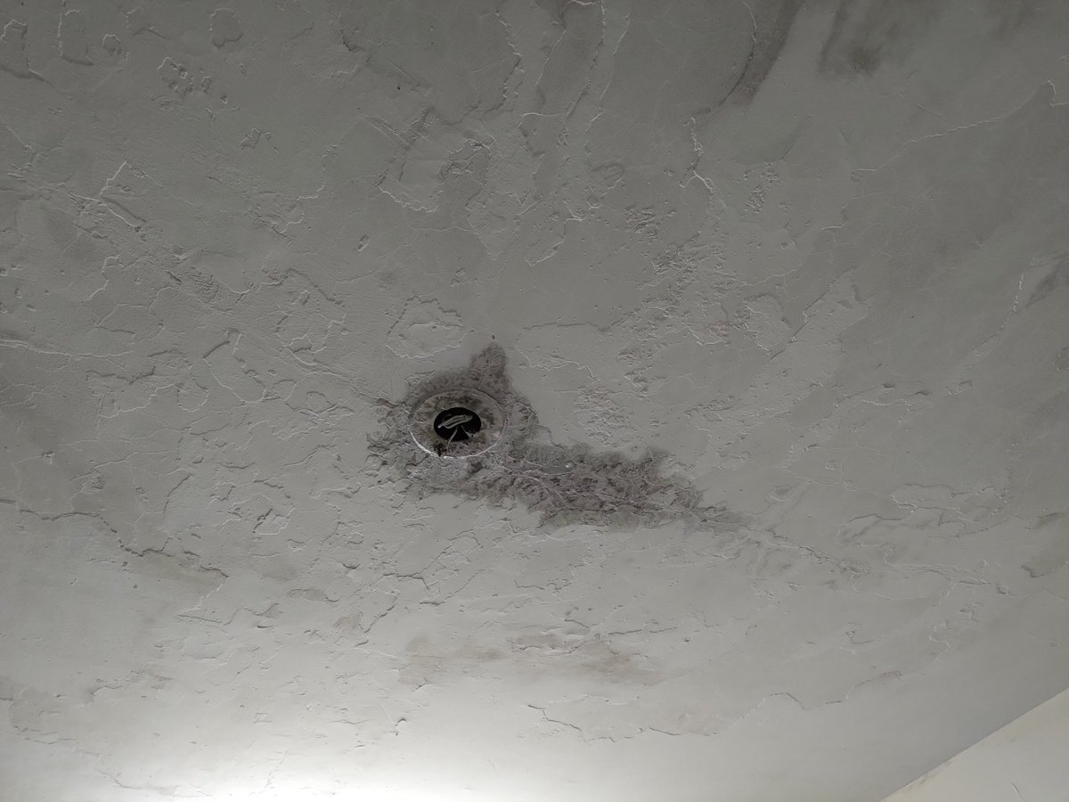 TheJaggedShiv's tweet photo. @asianpaints @asianpaints_pr #waterproofing #quality 
The #worst #CustomerService #CustomerExperience #CustomerSatisfaction 
The work is still under #warranty they come and start blaming the terrace https://t.co/5caI2Bham8