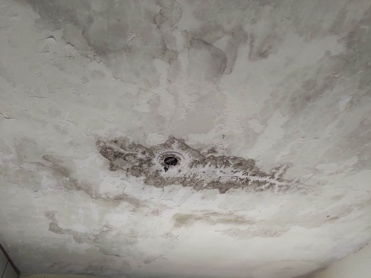 TheJaggedShiv's tweet photo. @asianpaints @asianpaints_pr #waterproofing #quality 
The #worst #CustomerService #CustomerExperience #CustomerSatisfaction 
The work is still under #warranty they come and start blaming the terrace https://t.co/5caI2Bham8