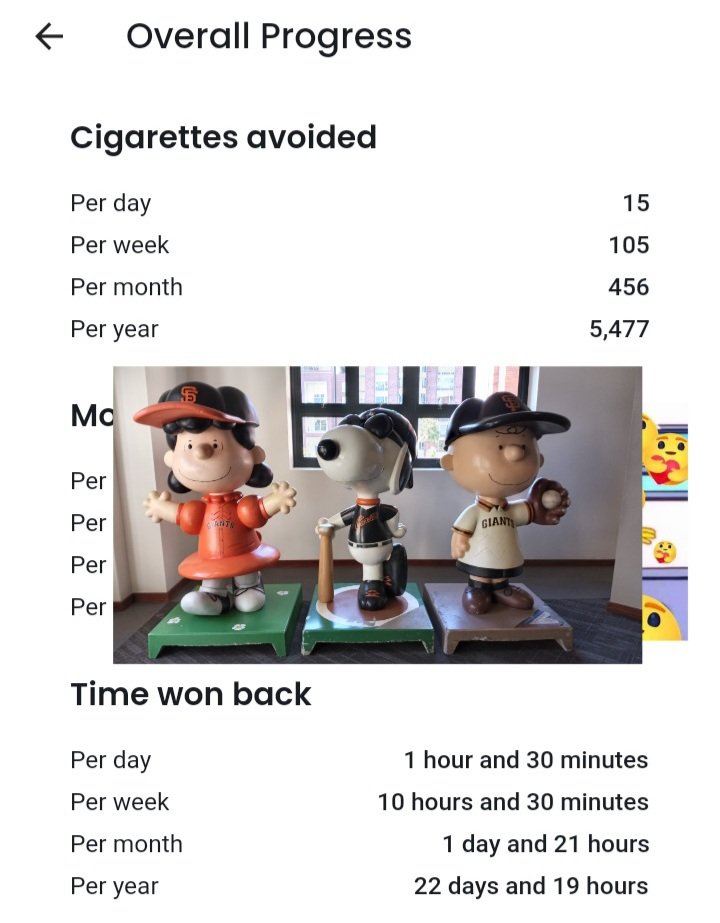Kush_Hayes's tweet photo. 3000 days without a cigarette.
#QuitNowApp #quitsmoking https://t.co/WGaoPAPeDk