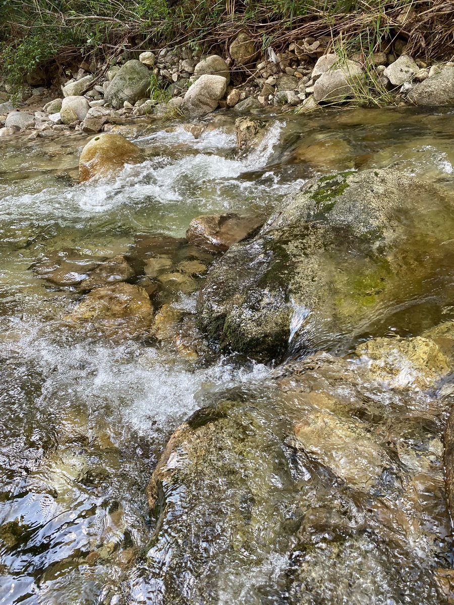 linosbbles's tweet photo. 220816 [💭] 4:12pm KST

[photo]

super refreshing!! https://t.co/J4PkOatL4b
