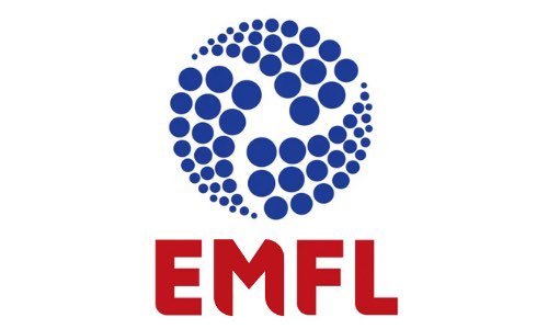 Women's Football Fan Collective 🇺🇦 🌻 tweet media