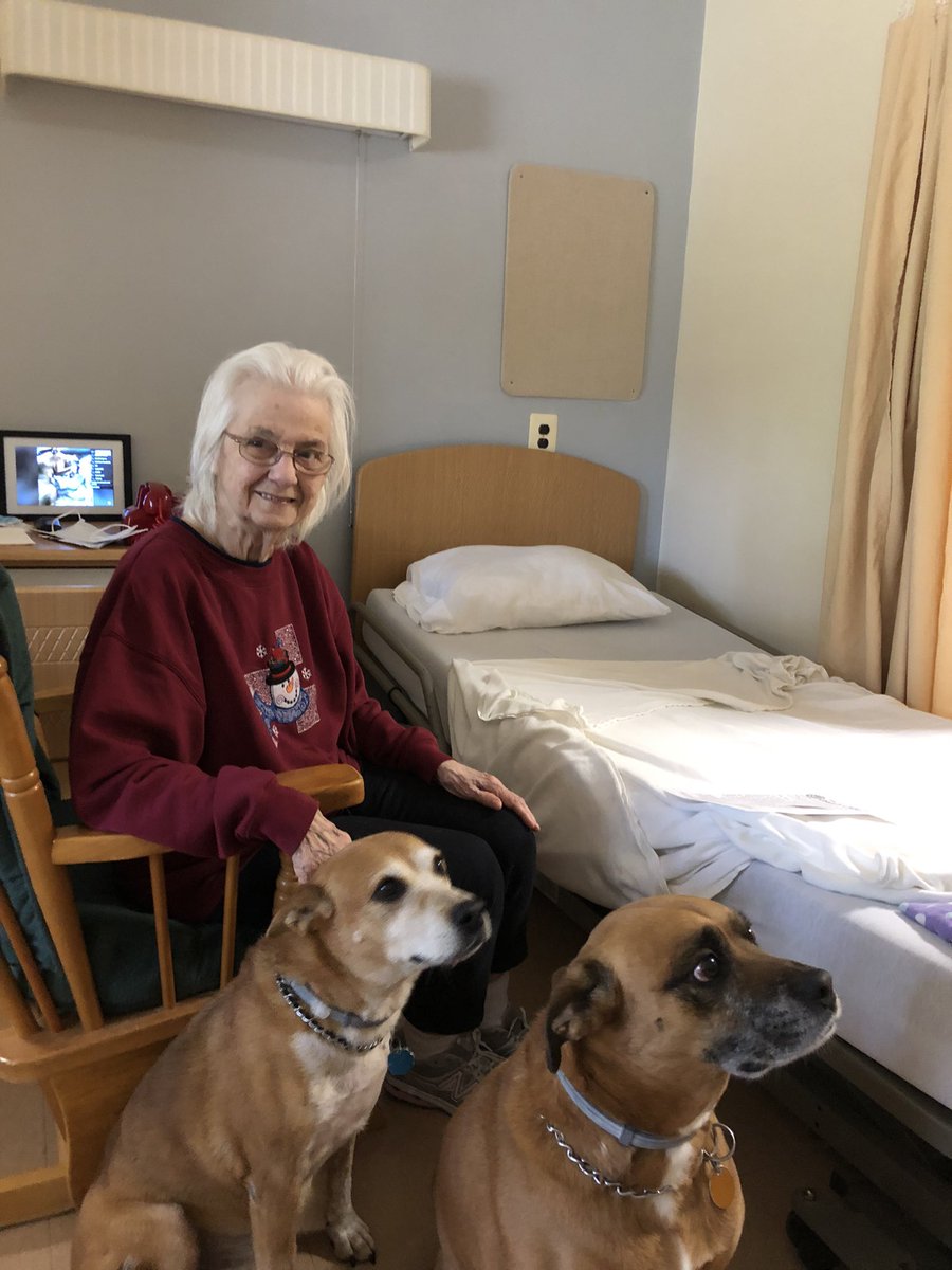 DrOhnsman's tweet photo. @maureenjohnson We took our dogs to visit my mom in a nursing home. One can be aggressive and the other is afraid of strangers, but both calmly approached all the residents one by one to let them pet them. ❤️ https://t.co/BT5aTDj4Ny