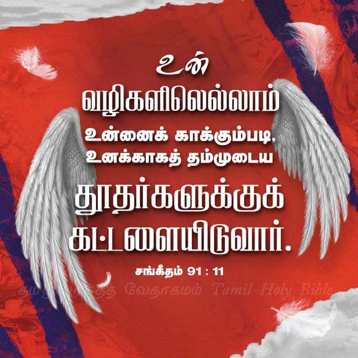 bibleversesjk's tweet photo. 🙏ஆமென்! அல்லேலூயா!🙏
💒கர்த்தருக்கு ஸ்தோத்திரம்💒
📖இன்றைய வாக்குத்தத்த வசனம்📖 😇கர்த்தர் உங்களையும் உங்கள் குடும்பங்களையும் ஆசீர்வதிப்பாராக😇
#தமிழ்பரிசுத்தவேதாகமம்
#இன்றையவாக்குத்தத்தவசனம்
#HolyBibleVerses #Dailybreath #Promiseverse #Promiseoftheday #Blessingword #Wordofgod https://t.co/U7RGdZtSZI