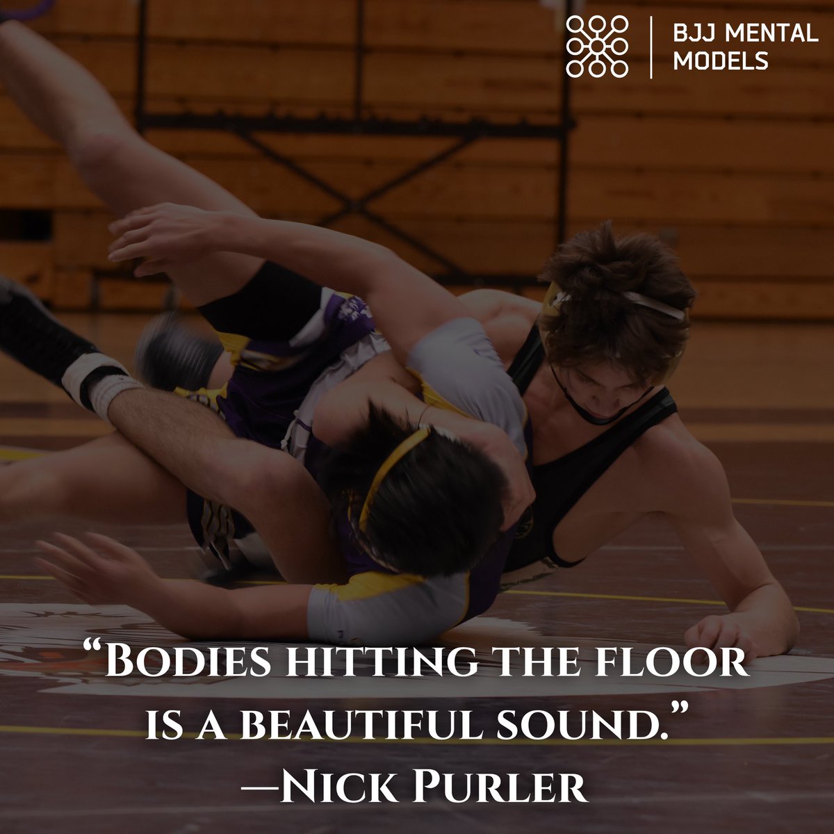 BJJ Mental Models tweet media