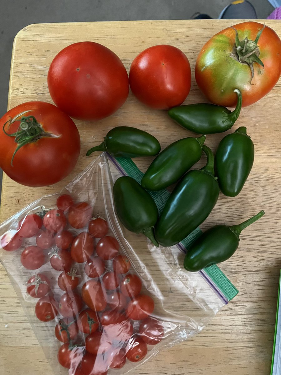 Jennifer Long (@jlong1990) on Twitter photo Sweet harvest from Lenna Conrow’s summer garden <a href="/lbpsbilingual/">LBPS Bilingual</a> <a href="/LBpublicschools/">Long Branch Public Schools</a> <a href="/jlong1990/">Jennifer Long</a> <a href="/LWC_Preschool/">LWC ECLC</a> Sweet harvest from Lenna Conrow’s summer garden <a href="/lbpsbilingual/">LBPS Bilingual</a> <a href="/LBpublicschools/">Long Branch Public Schools</a> <a href="/jlong1990/">Jennifer Long</a> <a href="/LWC_Preschool/">LWC ECLC</a>
