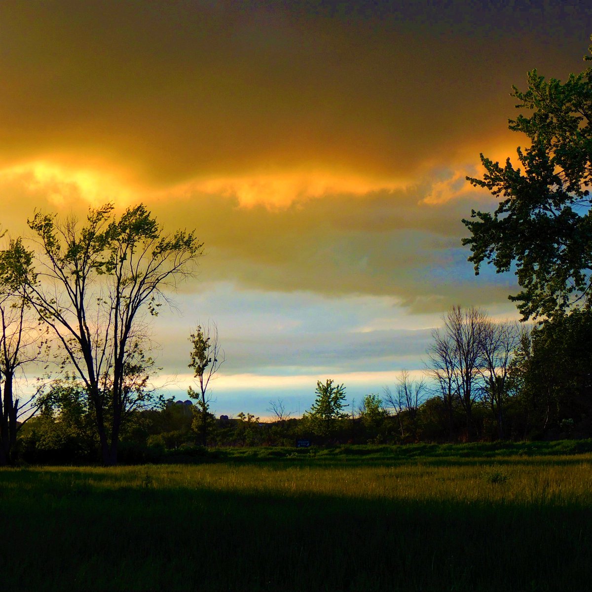 CaneDaddyTweets's tweet photo. Storm at Sunset - The Beginning
MarkDwyerCollection
#MarkDwyerCollection #CaneDaddy https://t.co/H4Jez05jWj