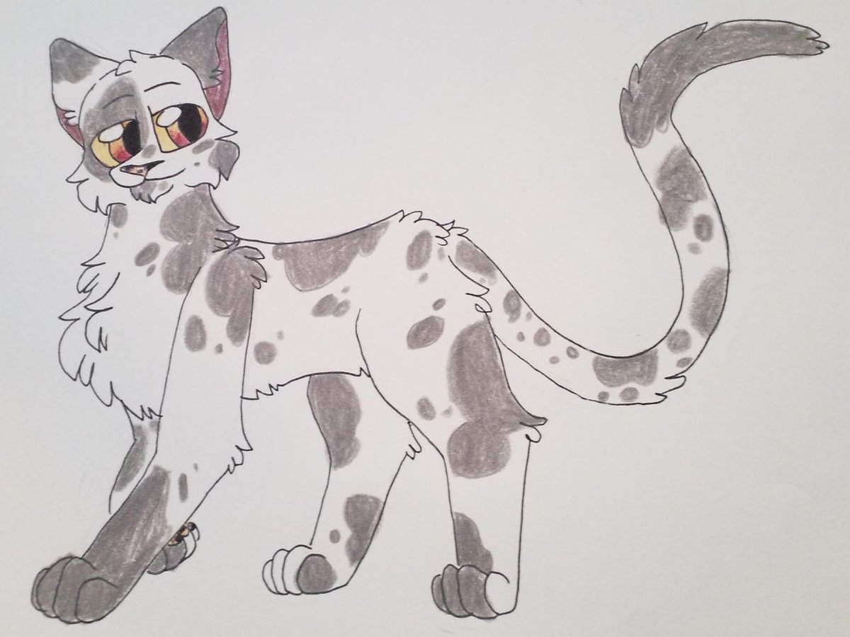 Kattren055's tweet photo. Aspenfall
#warriorcats #warriorcatsaspenfall #aspenfall #aspenfallwarriors #aspenfallwarriorcats https://t.co/8yLk6dSYXf