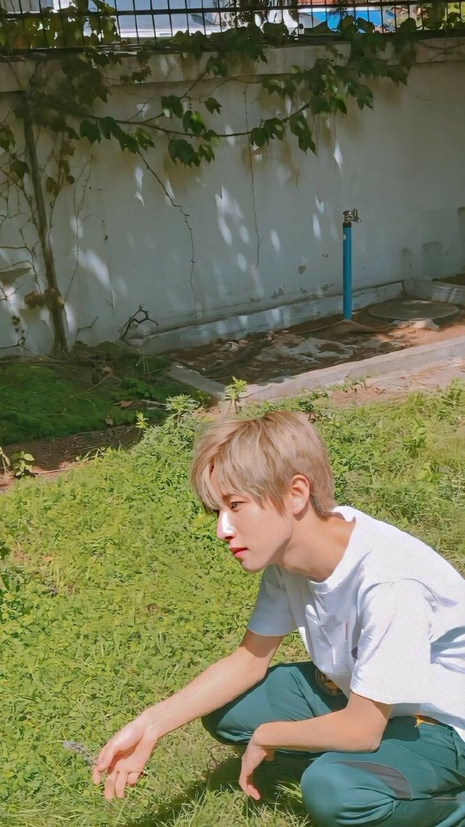 karvinayo's tweet photo. morning sektut

@kmystal @Joxngin @winser @Yerimd @jecmnie @ziyoueg @brbierl @tjeno @Yejir @haechhn @rpsehun__ @taeyungd @ziyounog @chianyoeI @uarsekal @clofn @hianjis @Wonyouxng @MkarkLee https://t.co/zwKrR1dxbU