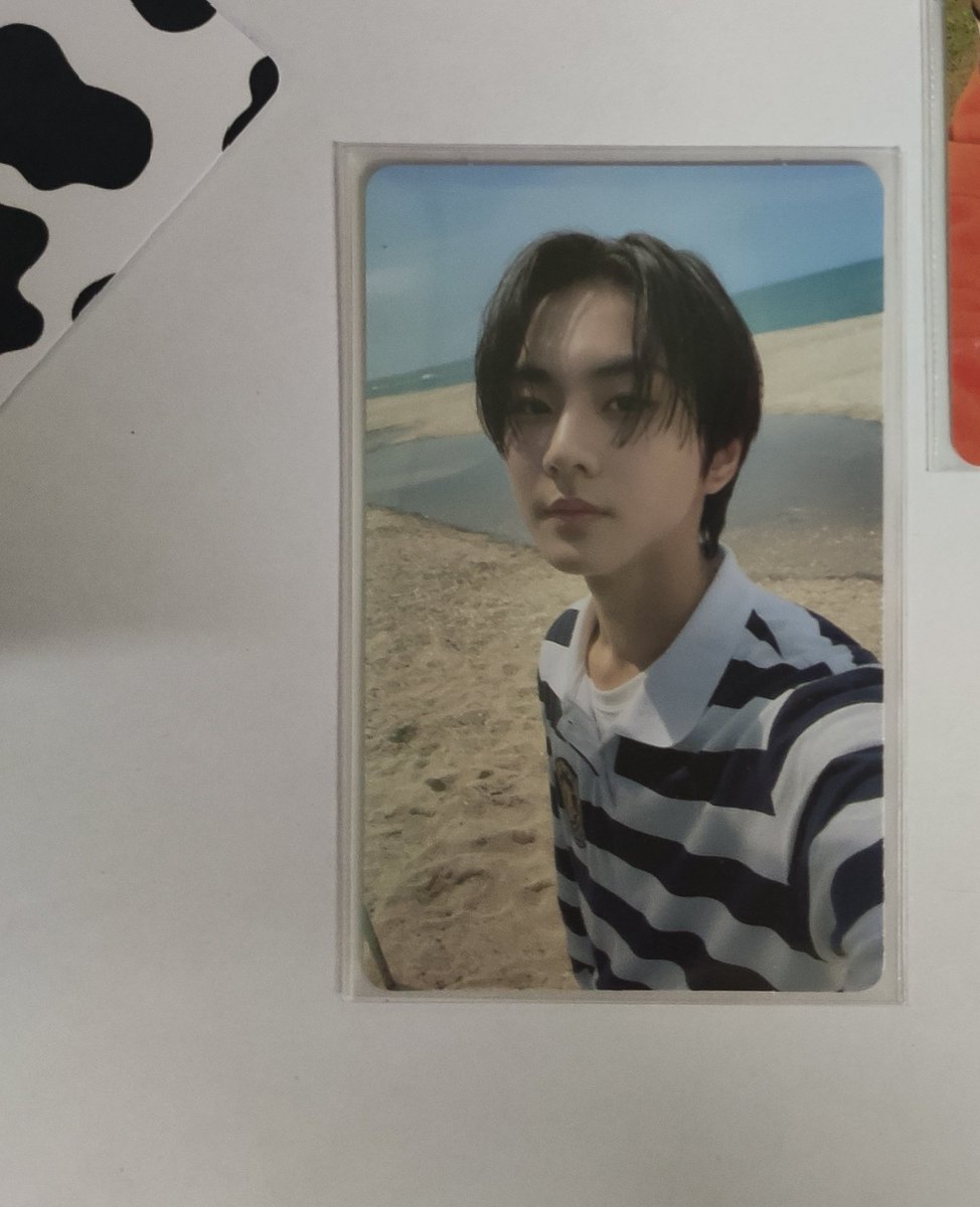 wonwoncarts tweet picture