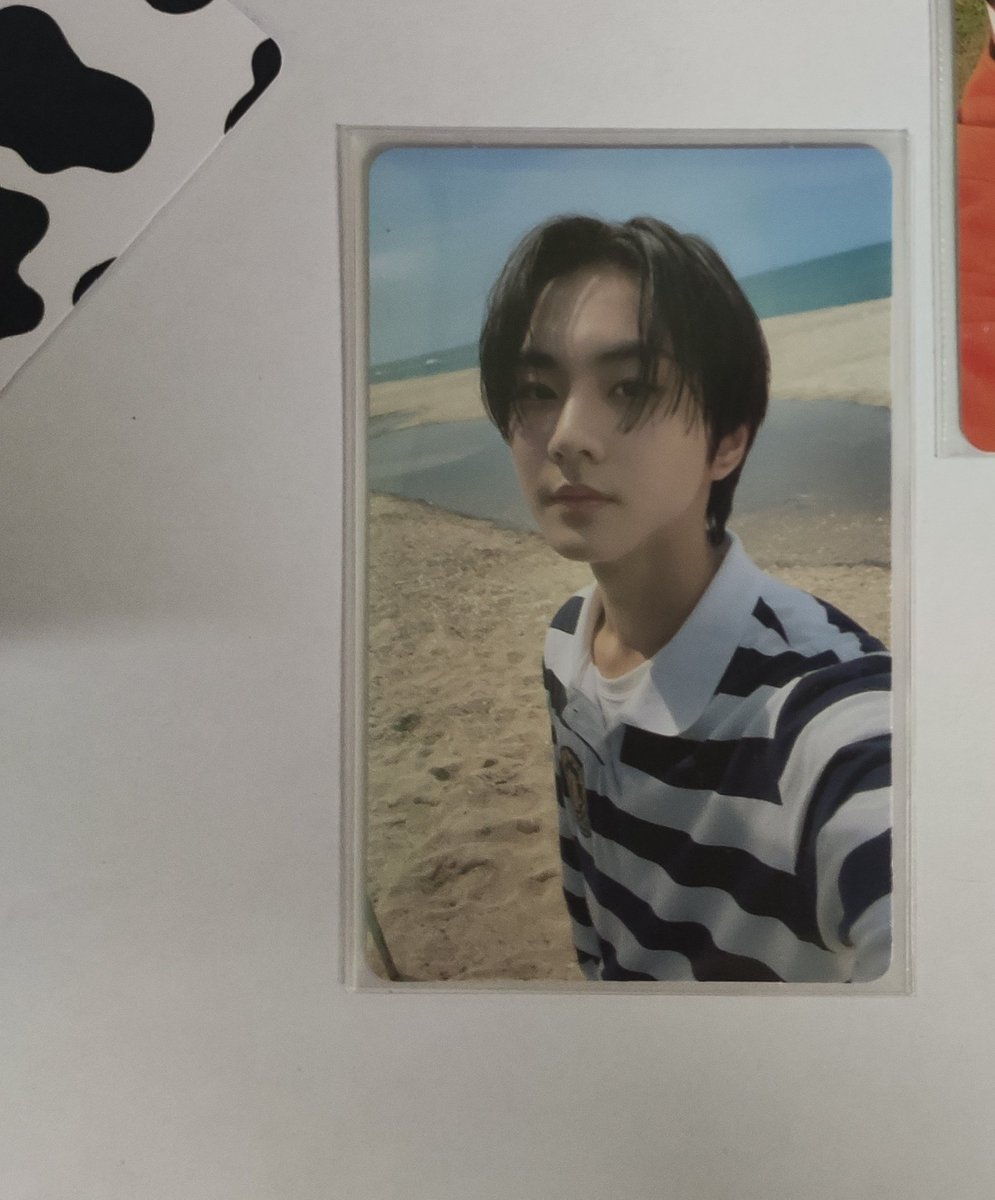 wonwoncarts tweet picture
