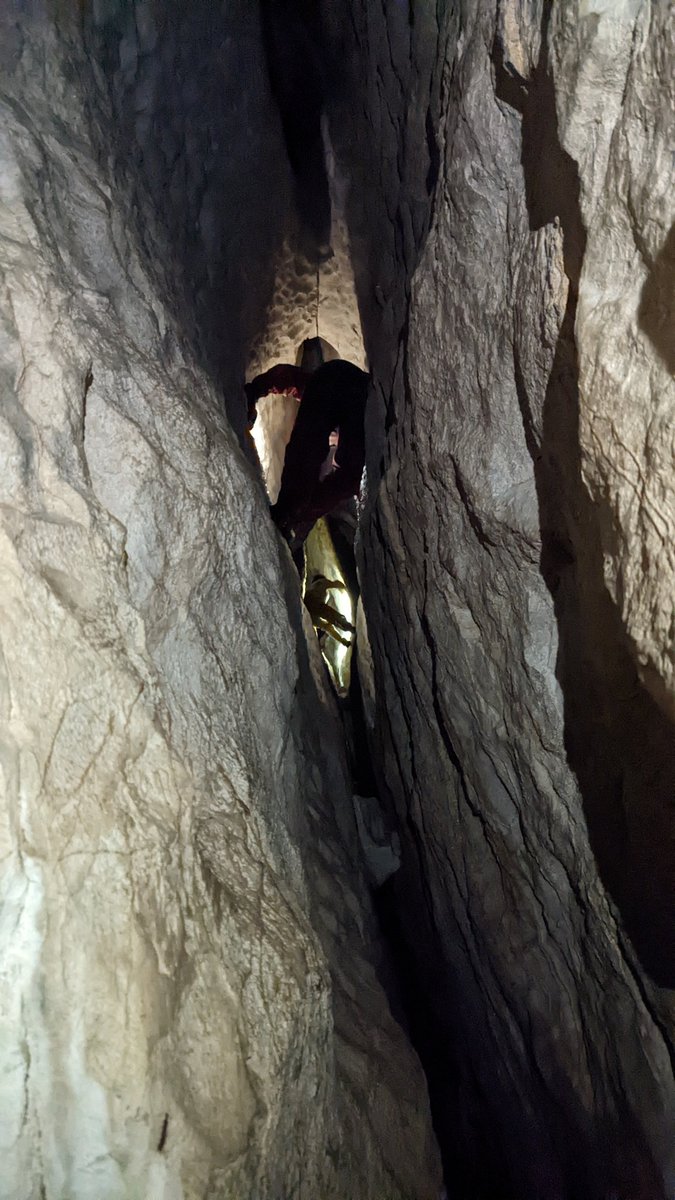 TongassGenomics's tweet photo. Despite a harrowing start, Week 8 got some quality field time in and even managed to fit in some fishing. #karst #cavescience #tongassNF #SEalaska https://t.co/pXCw3depMe