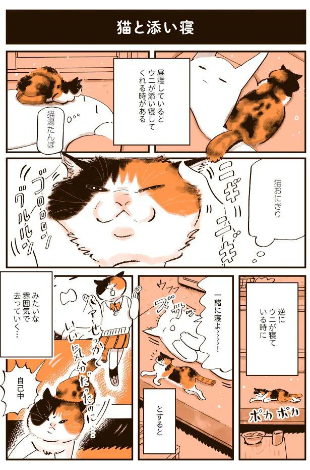 『うちの猫は仲が悪い』の出張掲載、今回がラストです!
自己中!! 猫が添い寝してきた場合と人が添い寝しに行った場合の違い/うちの猫は仲が悪い - レタスクラブhttps://t.co/NTAgPvWthi