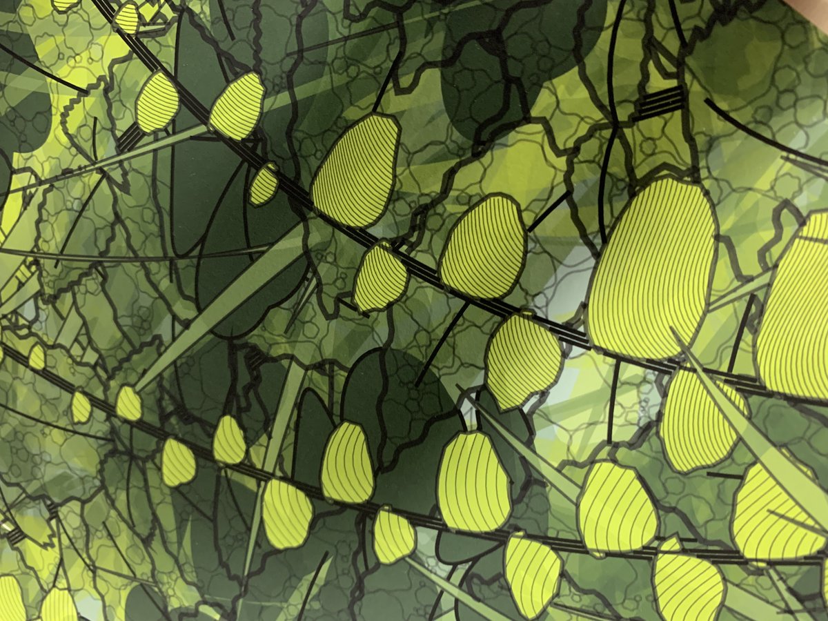 "Lushtemples — Highlights of the Hike" 
A0 print closeup, Dec 2021