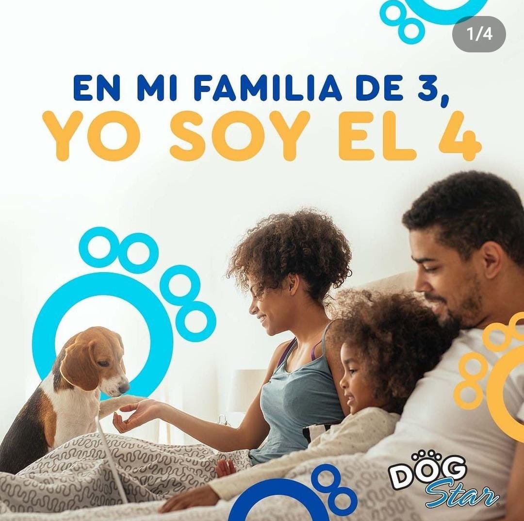 zoomergidosnfut's tweet photo. Los peluditos nos llenan el corazón ❤️día a día y el vínculo que tenemos con ellos, hace que formen parte de nuestra familia. 👩‍👦

Manito arriba✋🏻 los que tengan perr-hijos en casa 🐶

#DogStar #DogStarLovers #comidadeperro #alimentodemascotas https://t.co/PQN8cKo9u8