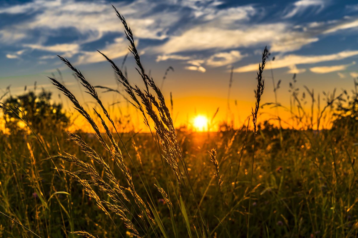 ARC Training Centre for Future Crops Development (@futurecropsau) on Twitter photo Interested in the interplay between agriculture, research and the community? Like the idea of building innovative, responsible and impactful capacities within science and farming?
Apply for a #postdocjob with <a href="/RachelAnkeny/">Rachel ankeny</a> by 15 September. More here bit.ly/3Qu4i0L RT Pls Interested in the interplay between agriculture, research and the community? Like the idea of building innovative, responsible and impactful capacities within science and farming?
Apply for a #postdocjob with <a href="/RachelAnkeny/">Rachel ankeny</a> by 15 September. More here bit.ly/3Qu4i0L RT Pls