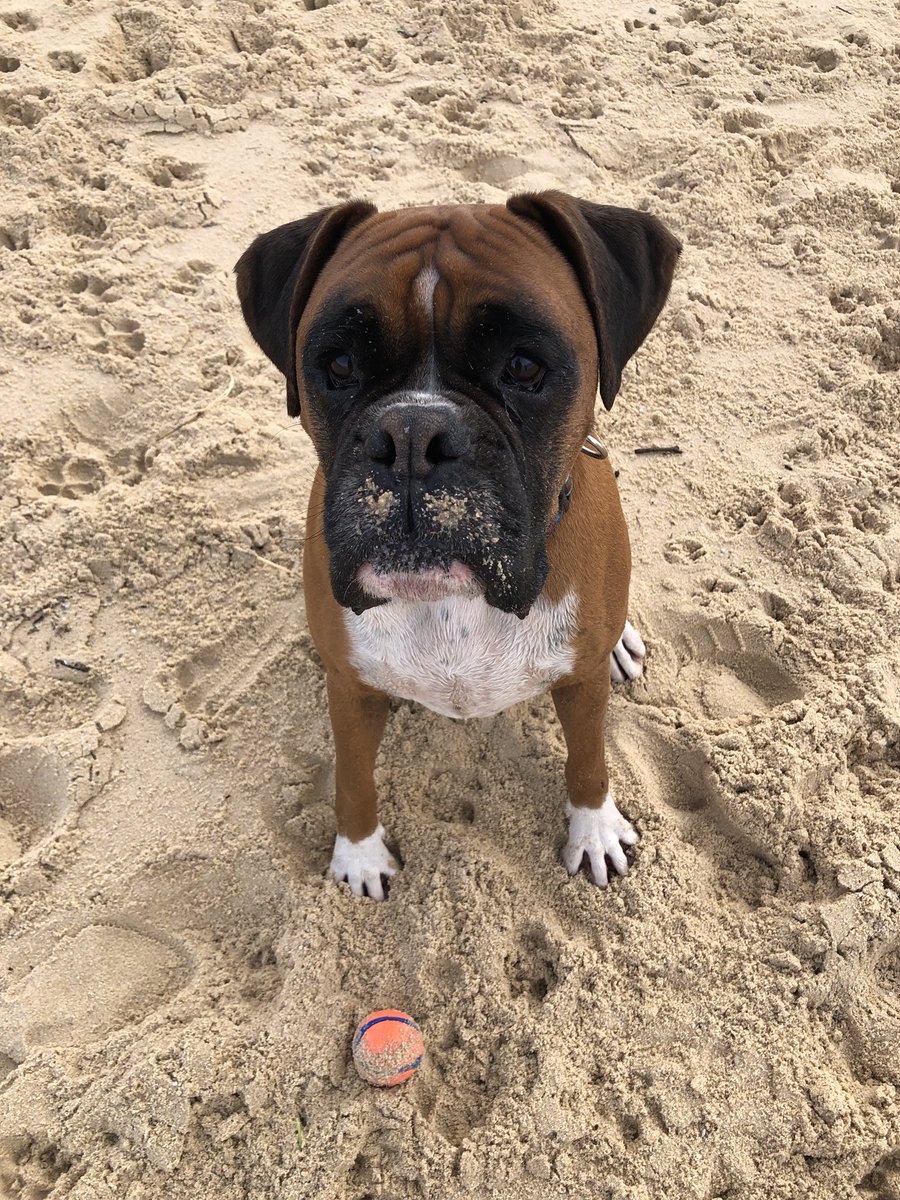 “This ball isn’t going to throw itself.”