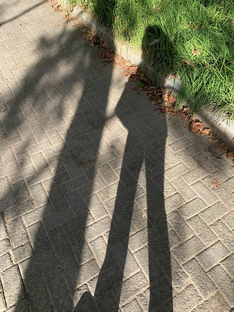 好热呀来个狗狗给我舔逼里的汗