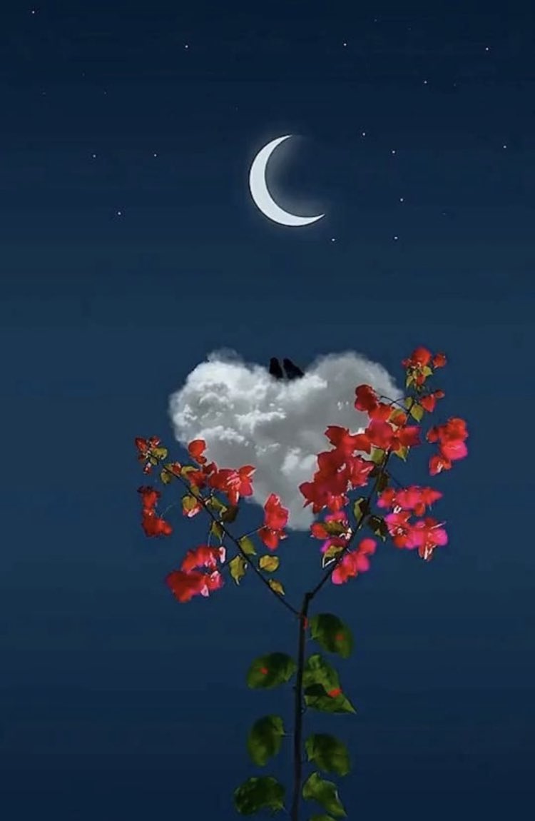 “El amor concede esperanza a los desesperados y alegra las almas de los angustiados.” #AbdulBahá

#love #hope #justice #peace #kindness #unity #equality #diversity #faith #bahai