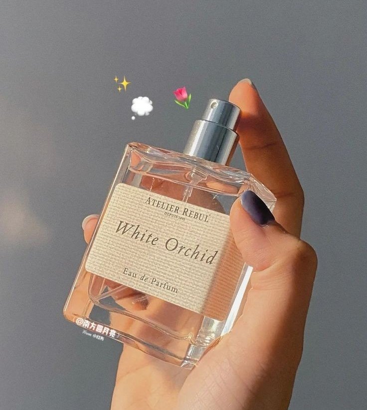 berburushopee's tweet photo. Parfume yg kalo orangnya lewat wanginya ketinggalan 

- A thread - https://t.co/Yx7jXOq7wD