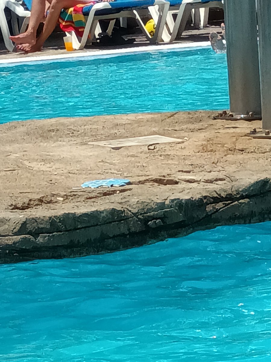 Leescreature_ft's tweet photo. @BlueSeaHotels Not to mention the tiles falling off the pool that you catch your feet on and the rooms falling to bit , oh and fire alarms hanging off the walls and safety issues.....grounds were clean though https://t.co/iEtQWcmHR0