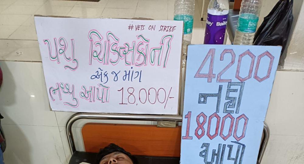 આજે તારીખ ૧૬ ઓગસ્ટ ના રોજ અમારો હલતાળ નો ૧૬ મો દિવસ અને ભૂખ હલતાળ નો ૭ મો દિવસ છે. છતા ગુજરાત સરકાર સુતી છે.
#Increase_Guj_Vet_Stipend 
<a href="/AAPGujarat/">AAP Gujarat</a> <a href="/ArvindKejriwal/">Arvind Kejriwal</a>
<a href="/Gopal_Italia/">Gopal Italia</a> @Isudan_Gadhvi
<a href="/CMOGuj/">CMO Gujarat</a> <a href="/RaghavjiPatel/">Raghavji Patel</a> <a href="/CRPaatil/">C R Paatil</a> <a href="/ndtv/">NDTV</a> <a href="/tv9gujarati/">Tv9 Gujarati</a> <a href="/VtvGujarati/">VTV Gujarati News and Beyond</a>