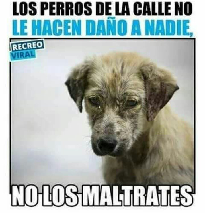 EAristeguieta's tweet photo. https://t.co/YT7pNR6KUv
