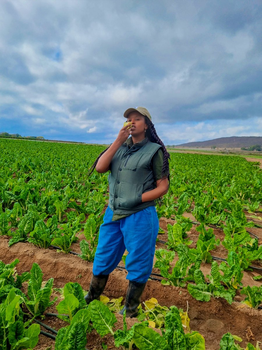 Gugulethu_CM's tweet photo. The best lessons are inside the field, where you'll find your mind and lose your soul. https://t.co/kTmvSWWYlL