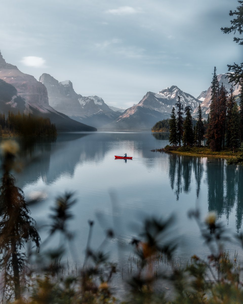 Tim Northey tweet media