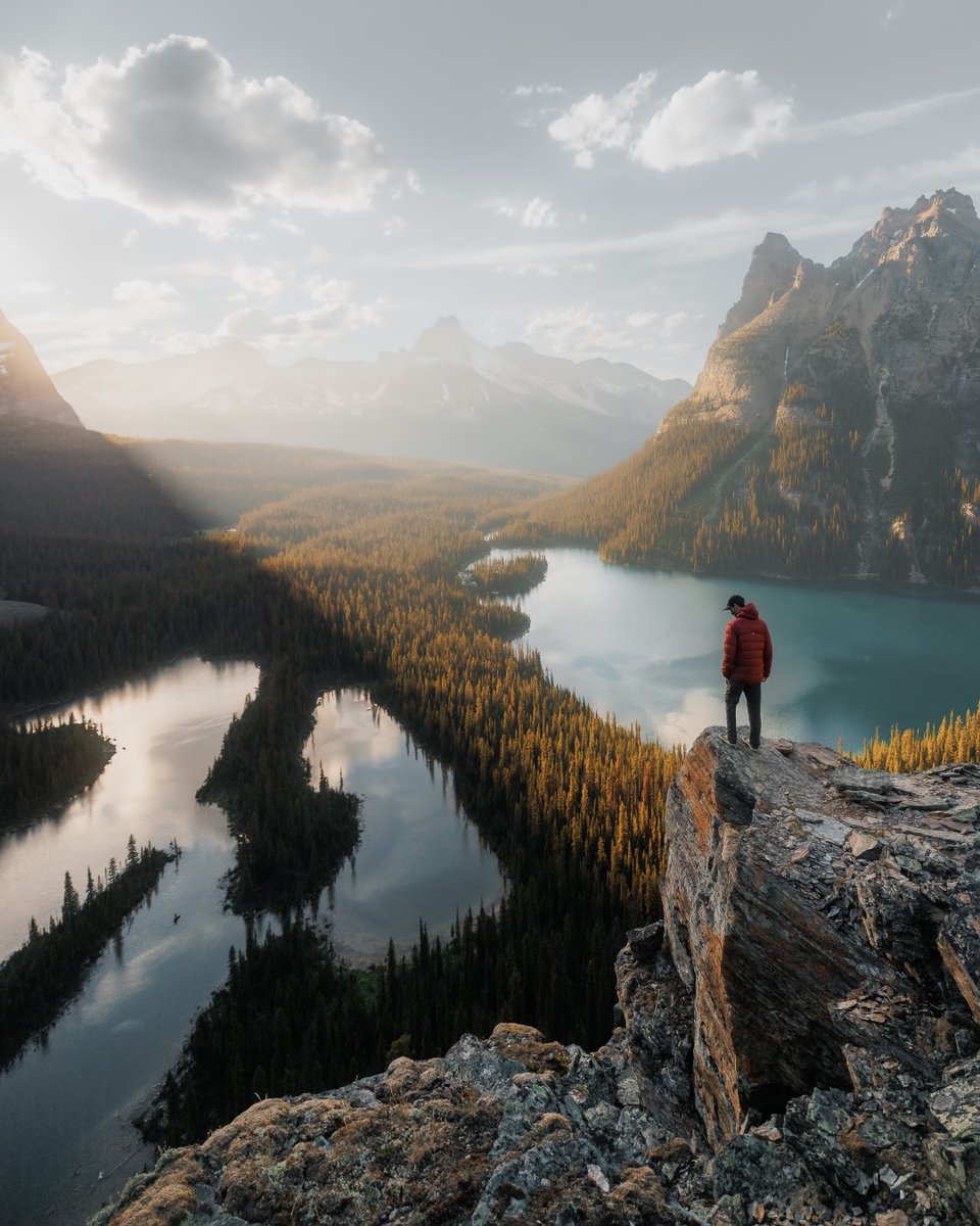 Tim Northey tweet media