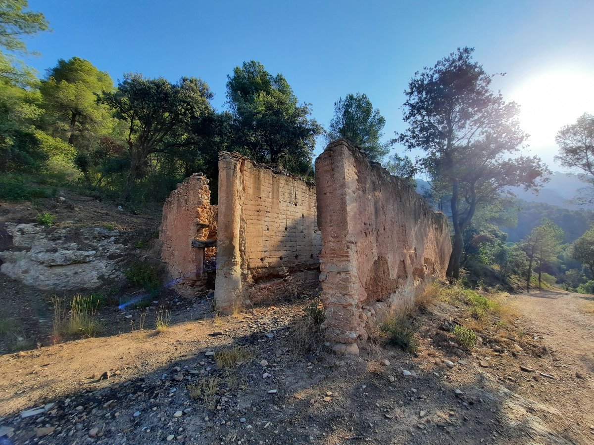 AnnaNyes's tweet photo. Matinades 2a part. Avui per fi, a la muntanya altra cop @PNMontserrat #CanJorba #PlaAlfa2 https://t.co/2yLheQhJlp