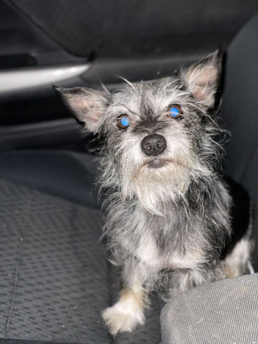 sidekickryan's tweet image. Jack❤️ straggly Wierdo 😆