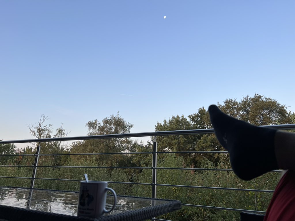 Erster Kaffee im Büro und dem Himmel langsam beim Blauwerden zuschauen
#teaminsomnia