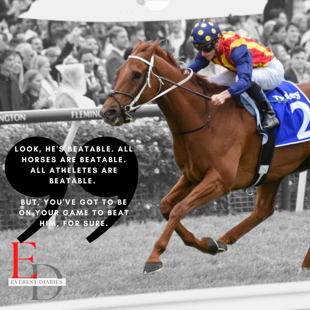 SecretariatsWorld tweet media