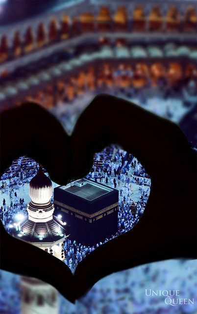 نــــℕ𝕠𝕠𝕣ــͫــͣــͥـــور✌ tweet media