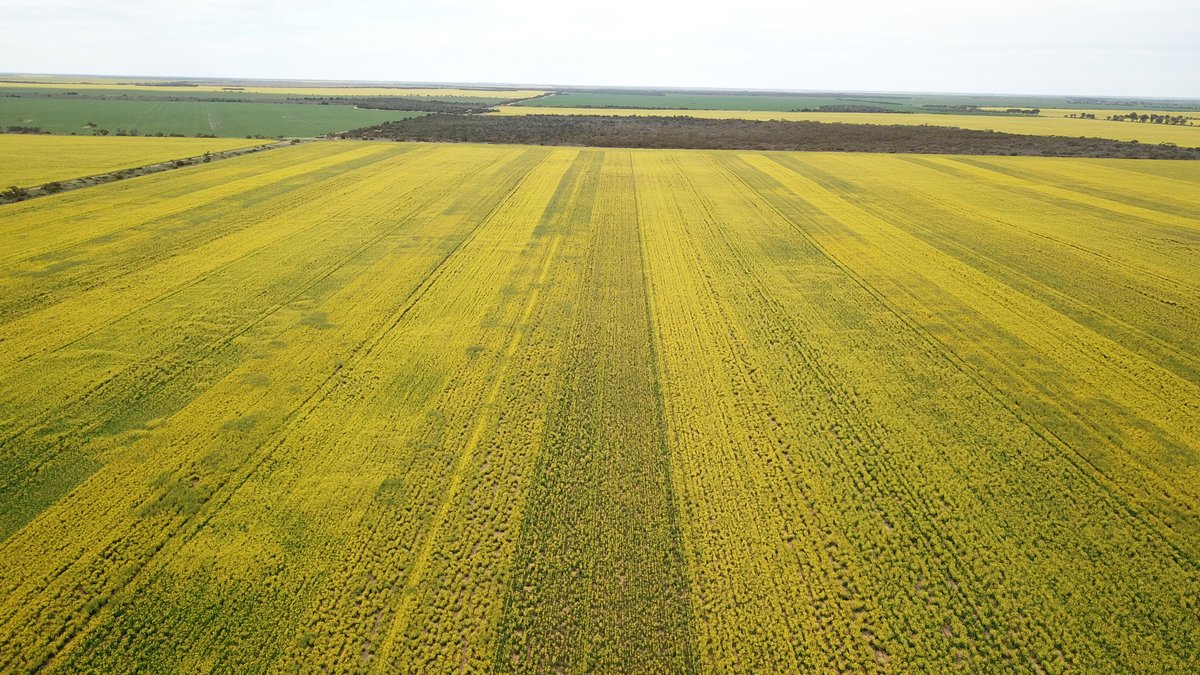 Nigel Routledge tweet media