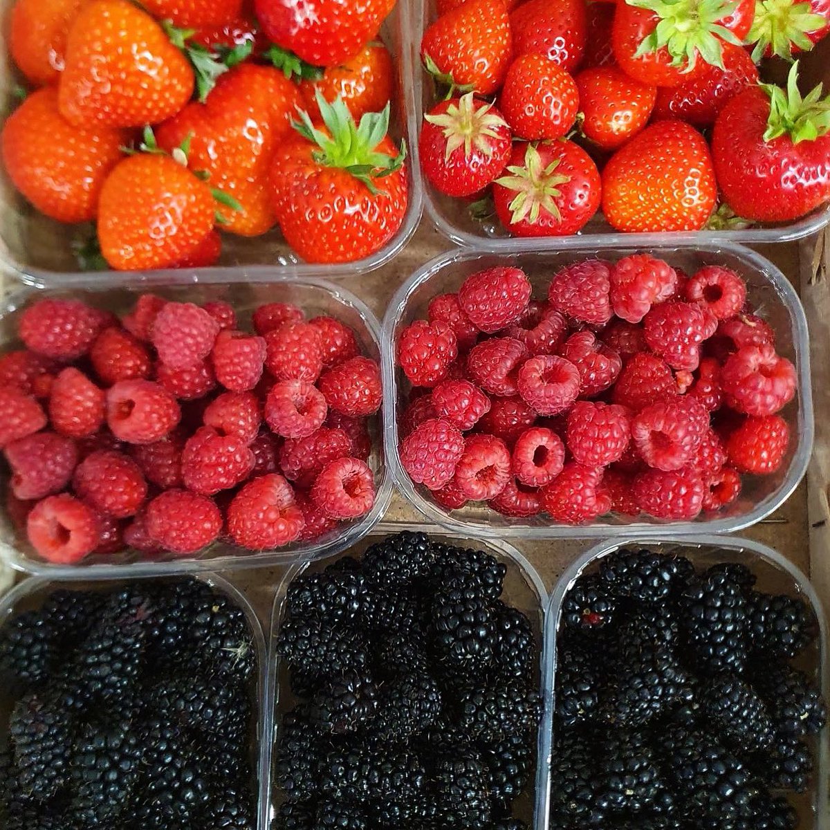 accentFresh's tweet photo. Berry nice 👌🏼 indeed! We stock fresh #raspberries #strawberries #blackberries all sourced locally 🍒🍓☀️💚 https://t.co/b12UrHeqip
