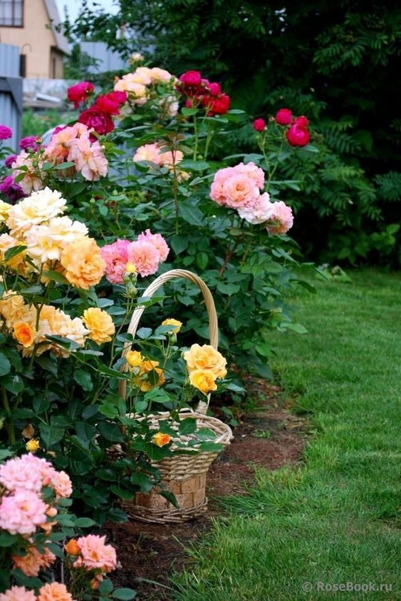 ImperfectGirl07's tweet photo. 💟

Think of what would happen if everyone woke this morning thinking of helping others instead of helping themselves - likely peace on Earth.
This is Heaven.

🅿️ 𝓑𝓮𝓪𝓾𝓽𝓲𝓯𝓾𝓵 𝓭𝓪𝔂 𝓵𝓸𝓿𝓮𝓵𝓲𝓮𝓼 https://t.co/tvBdpnTKUh