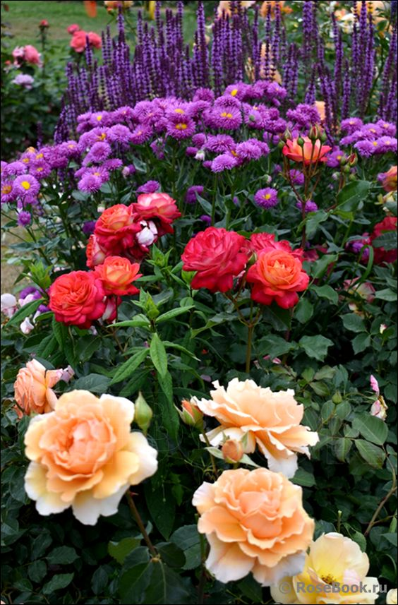 ImperfectGirl07's tweet photo. 💟

Think of what would happen if everyone woke this morning thinking of helping others instead of helping themselves - likely peace on Earth.
This is Heaven.

🅿️ 𝓑𝓮𝓪𝓾𝓽𝓲𝓯𝓾𝓵 𝓭𝓪𝔂 𝓵𝓸𝓿𝓮𝓵𝓲𝓮𝓼 https://t.co/tvBdpnTKUh