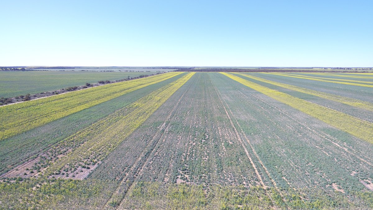 Nigel Routledge tweet media