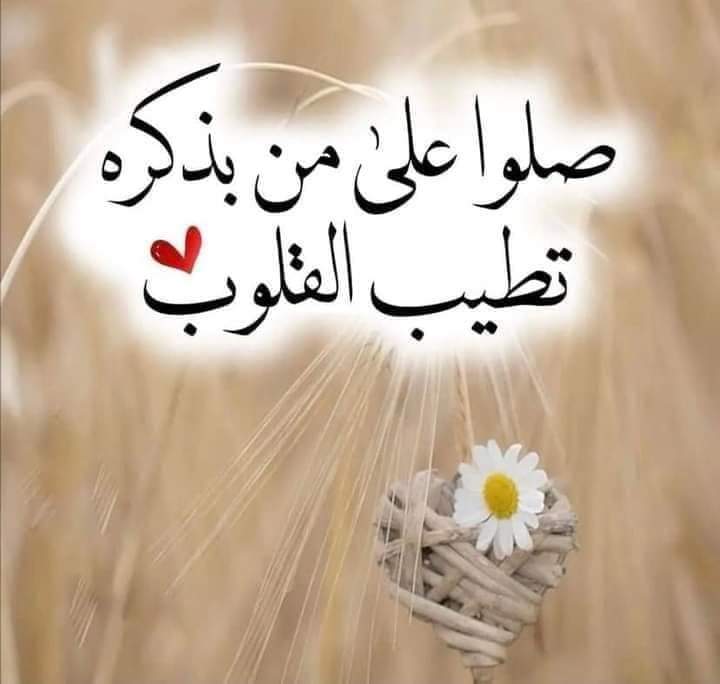 الدكتور/فارس الشمّري 🇸🇦 (@faresmo21012901) on Twitter photo 