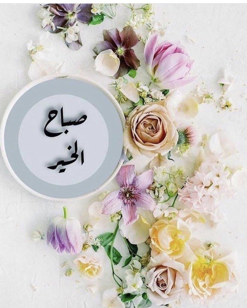 اللهم، السعادة، التي، نتمناها، لقلوبنا، وقلوب، أحبابنا 🕊️
صباح_الخير 🌺