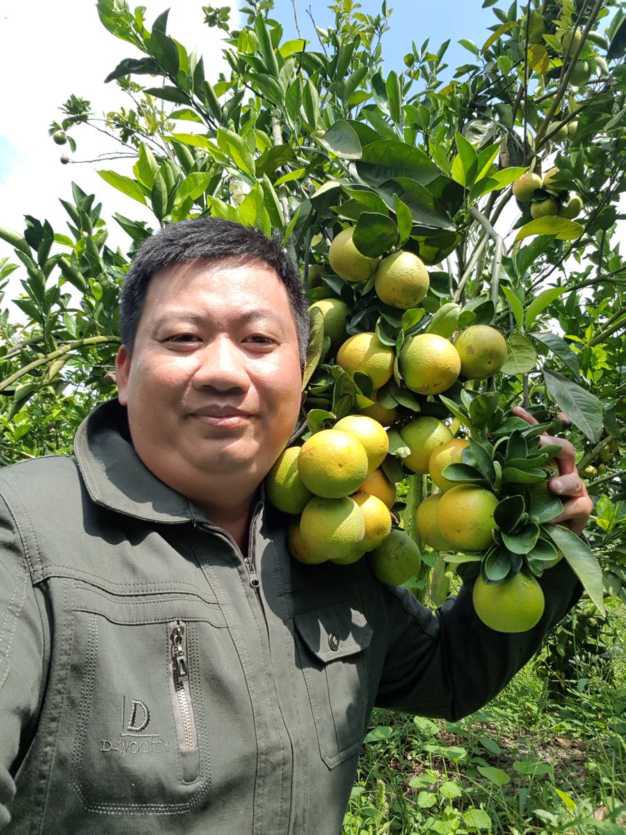 3kfarm's tweet photo. Đời như ảo mộng, tình như khói
Xả tận nhân gian, xả hữu cầu https://t.co/8wZXpzJxzO