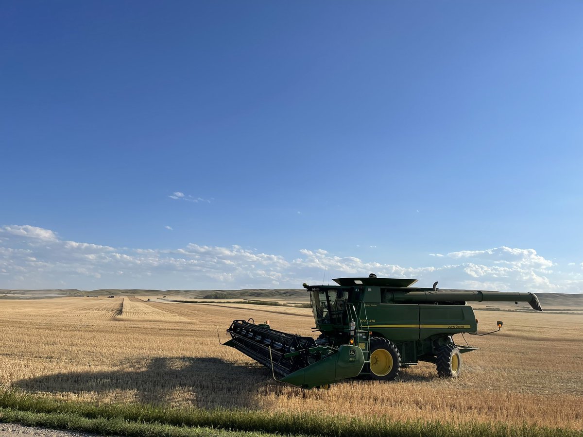 Trying some durum today! #harvest22