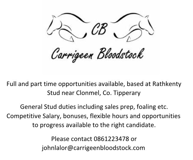 CarrigeenBlst's tweet photo. Join the team @irishracingjobs @rpbloodstock @bloodstocknews @TheIrishField https://t.co/QkImQJzouW