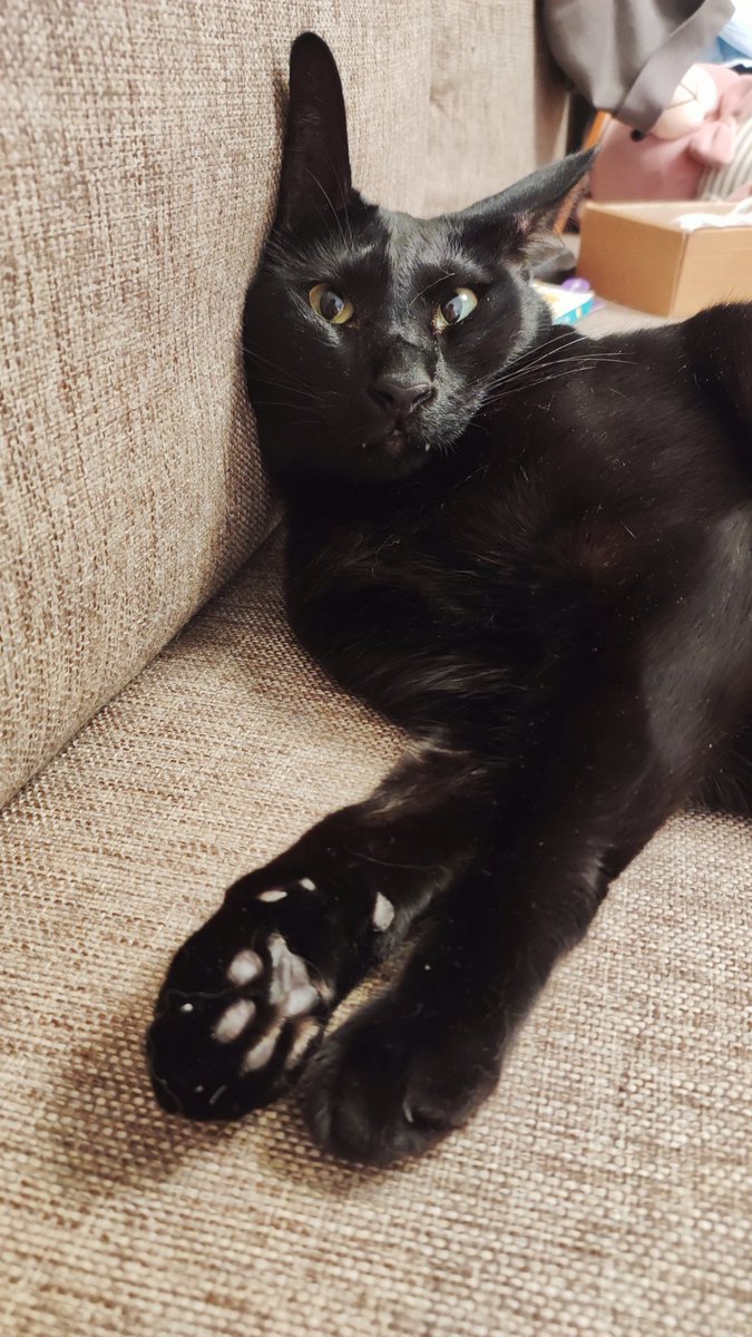 𝙅𝙪𝙡𝙞𝙖 𝙎🪩 tweet media