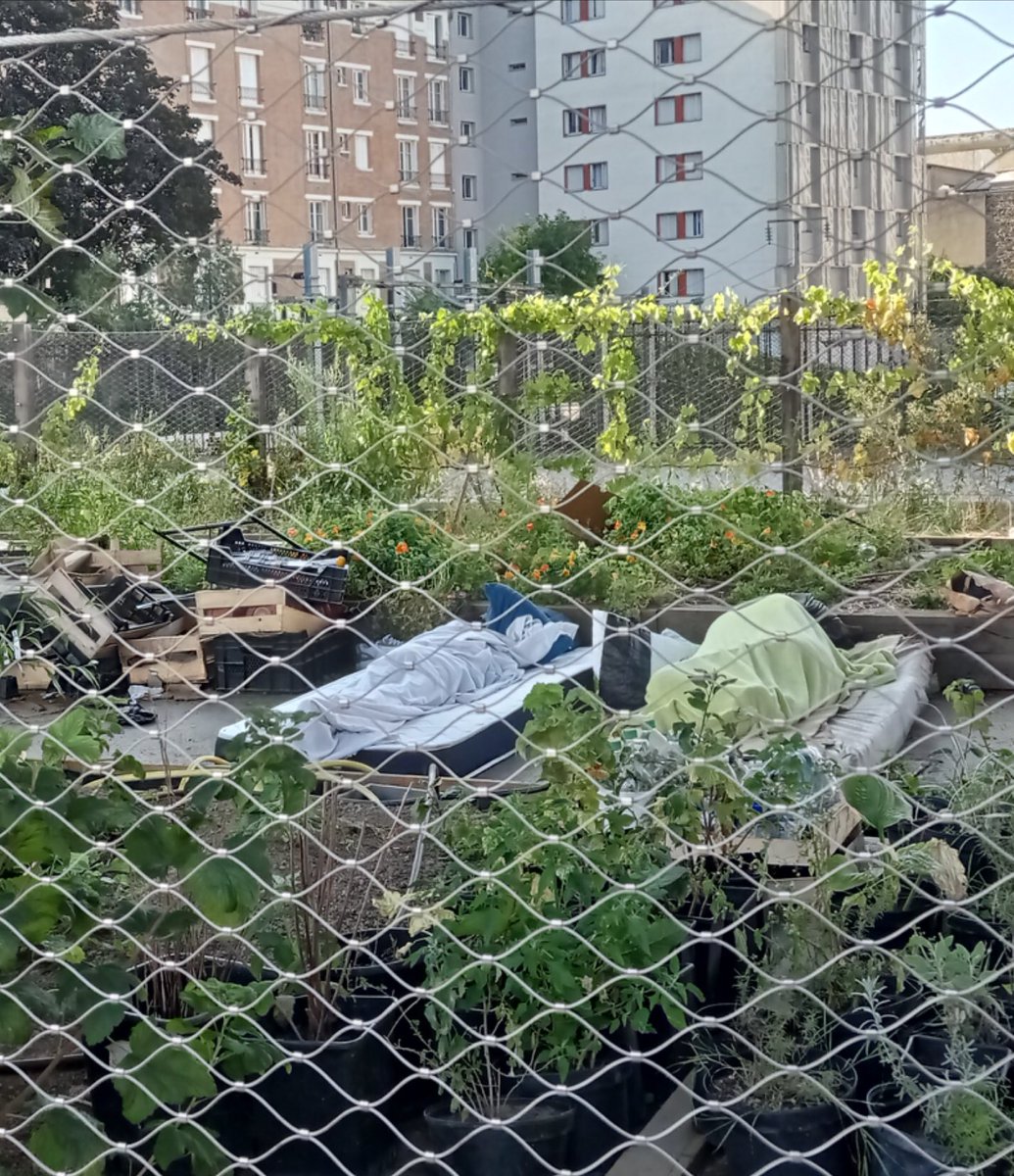 Paris la plou’belle tweet media