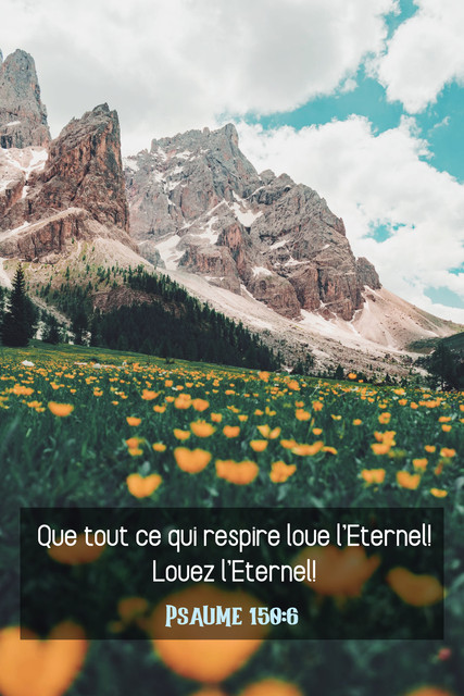 evangile11's tweet photo. https://t.co/bP7hQsG2gV