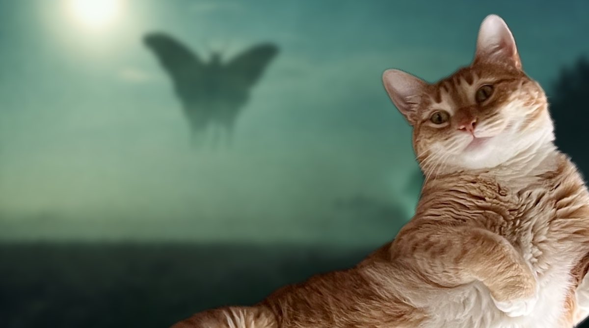 JortsTheCat's tweet photo. Can’t sleep so I am thinking about Mothman ❤️ https://t.co/3s2Z8YEJGy