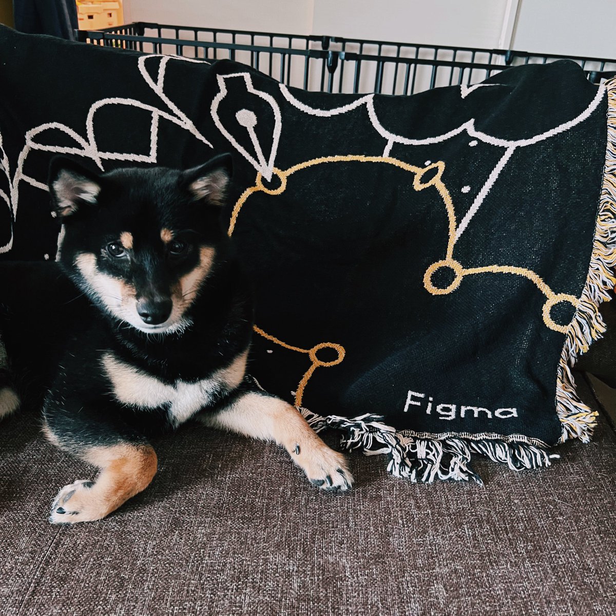 hiloki's tweet photo. #figma #figmastore blanket❣️ https://t.co/EIKqCZChCz